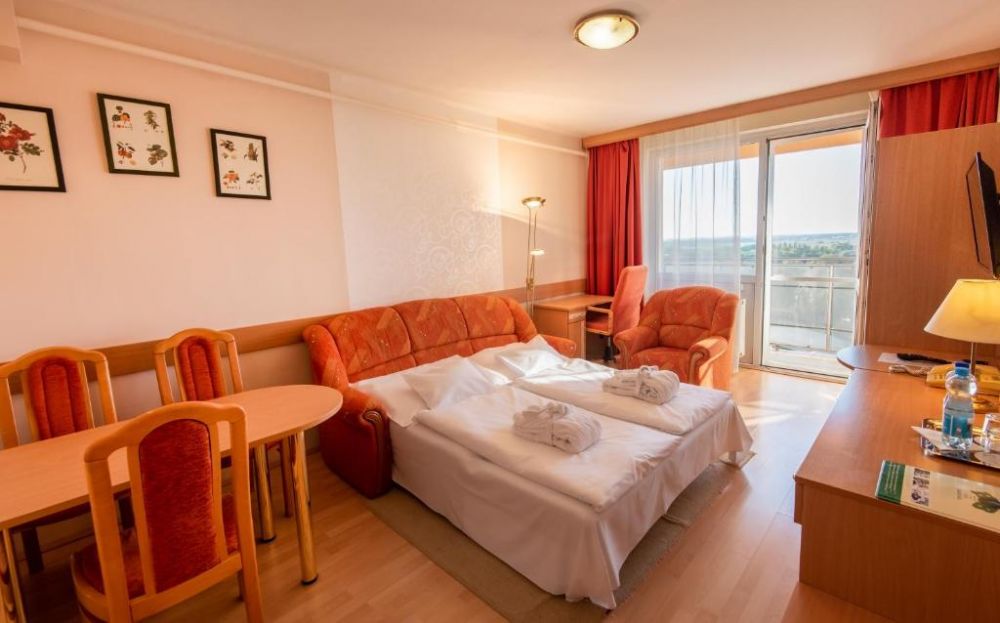 Junior Suite, Gyogy es Wellness Hotel Baratsag 3*