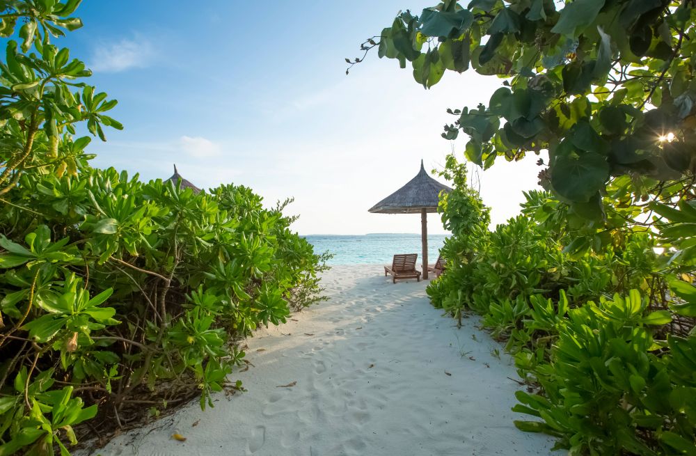 Deluxe Beach Villa, Reethi Faru Resort 4*