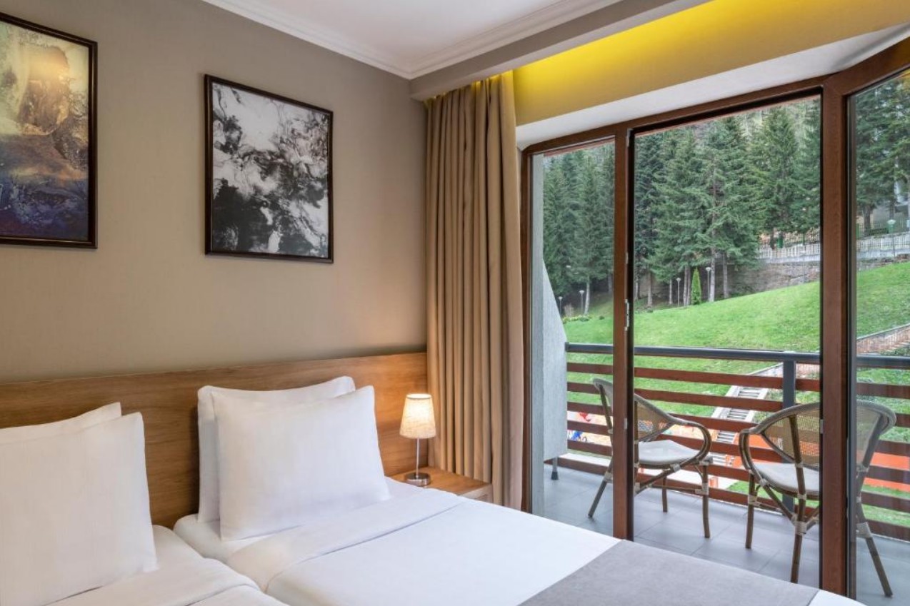 Standard Mountain/ River View, Sairme Hotels Resort & Spa 4*