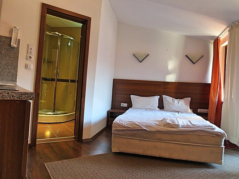 Studio, Apart Hotel Winslow Infinity & SPA 3*