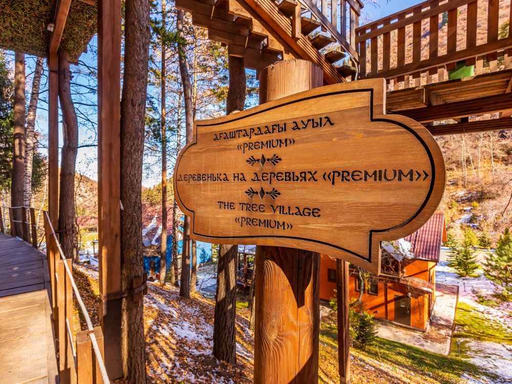 Домик на деревьях 