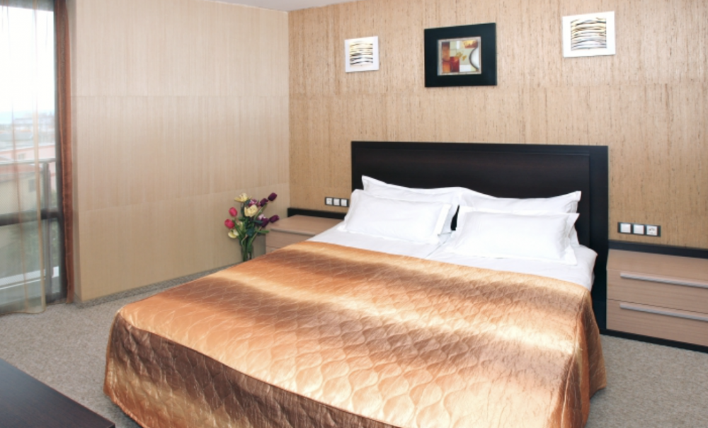 Single Room, Marieta Palace 4*