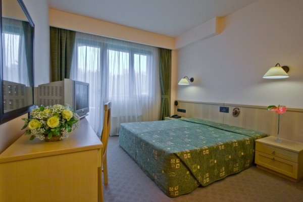 Double Room, Orphey Bansko 4*