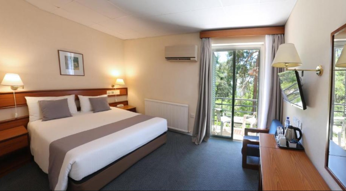 Standard Room, Forest Park Hotel 4*