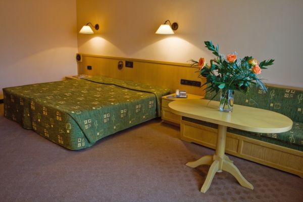 Deluxe Room, Orphey Bansko 4*