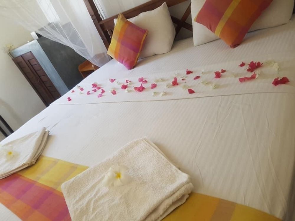 Family Suit Room, Lagoon Bouitique Hotel 4*