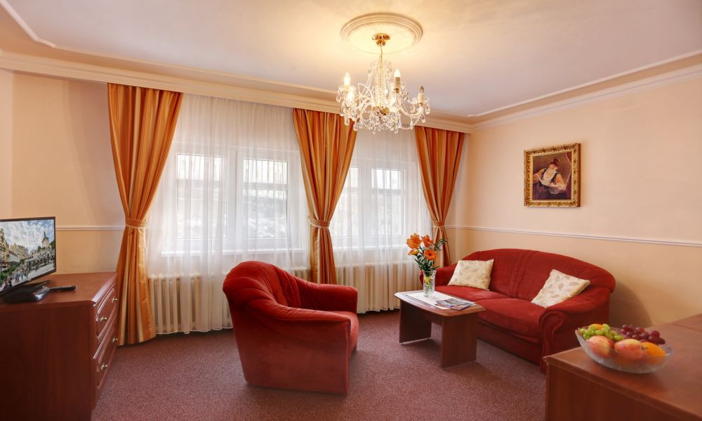 Apartment, Purkyne 3*