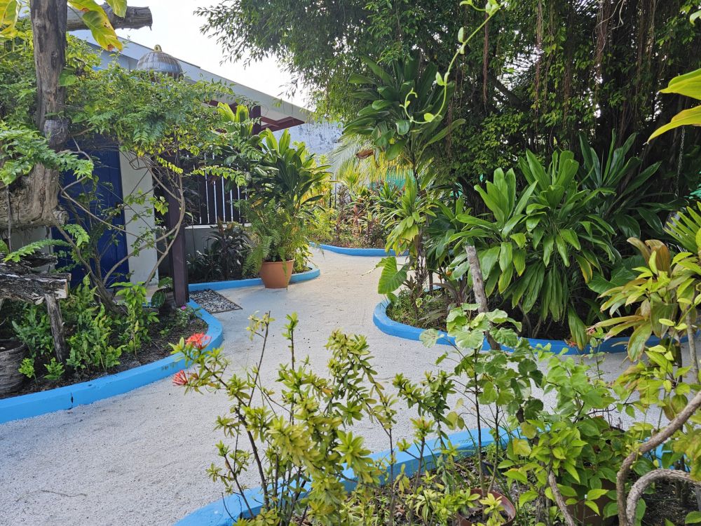 Deluxe Double with Balcony, Lagoon View Maldives 