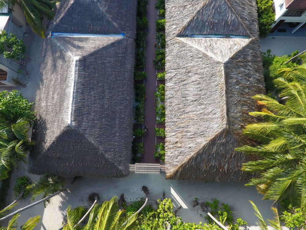 Garden Villa Room, Plumeria Maldives 