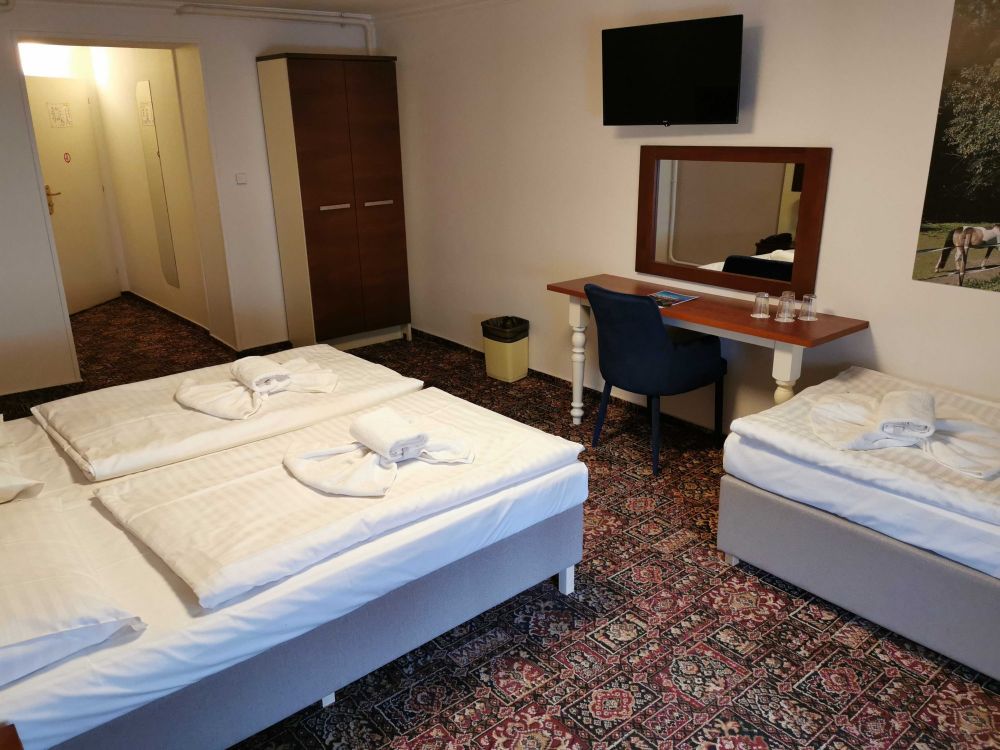 Standard DBL/TRPL/QDRPL, City Inn 3*