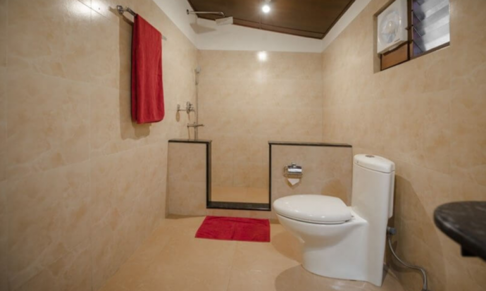 Standard Cottage Non A/C, Somatheeram Health Resort 4*