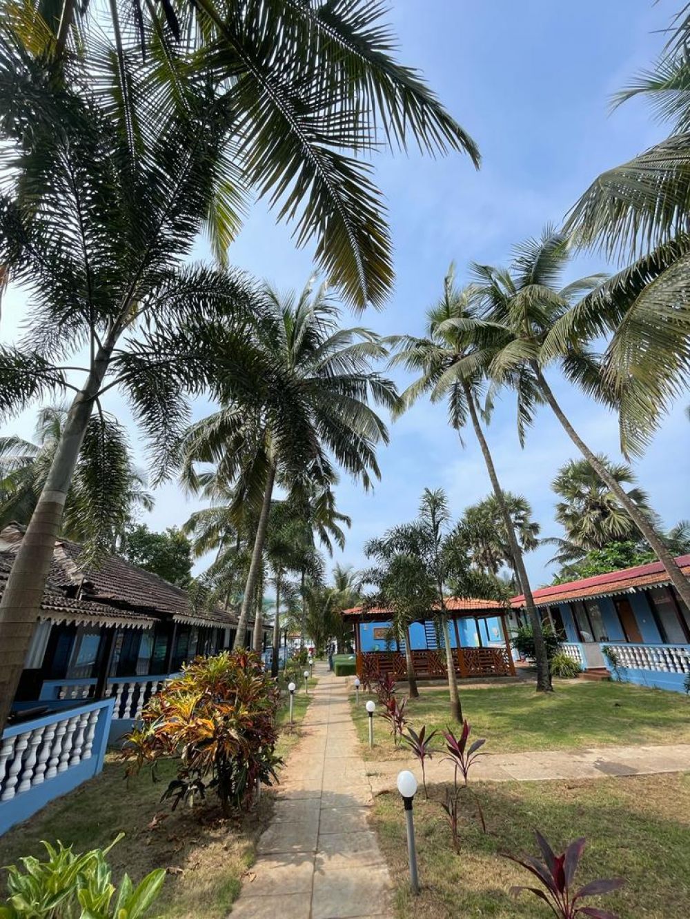 Luxury Wooden Cottage/ Luxury Wooden Cottage AC, Rock Bite Resort 3*