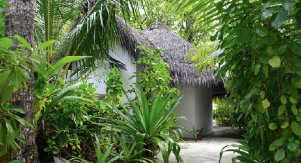 Beach Bungalow, Makunudu Island | Adults Only 12+ 4*