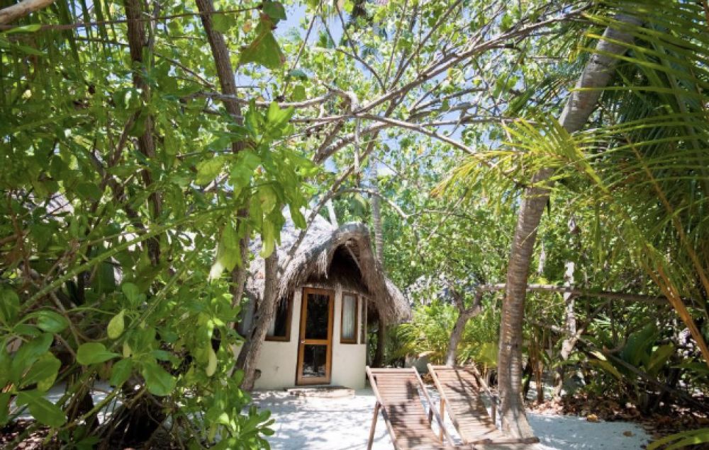 Deluxe Bungalow, Makunudu Island | Adults Only 12+ 4*