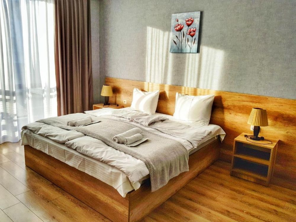 Standard Mountain View, Sunshine Kazbegi 3*