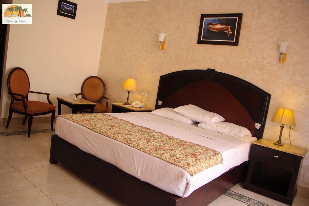 Standard Room, Viva Sharm 3*