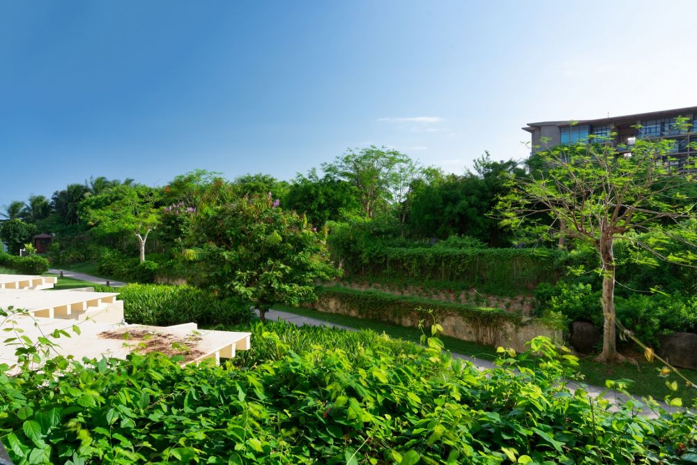 Forest Fun Room (Area 2), Horizon Resort & Spa 5*