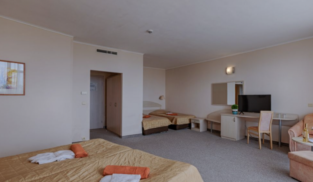 Double room deluxe, Berlin Green Park 4*