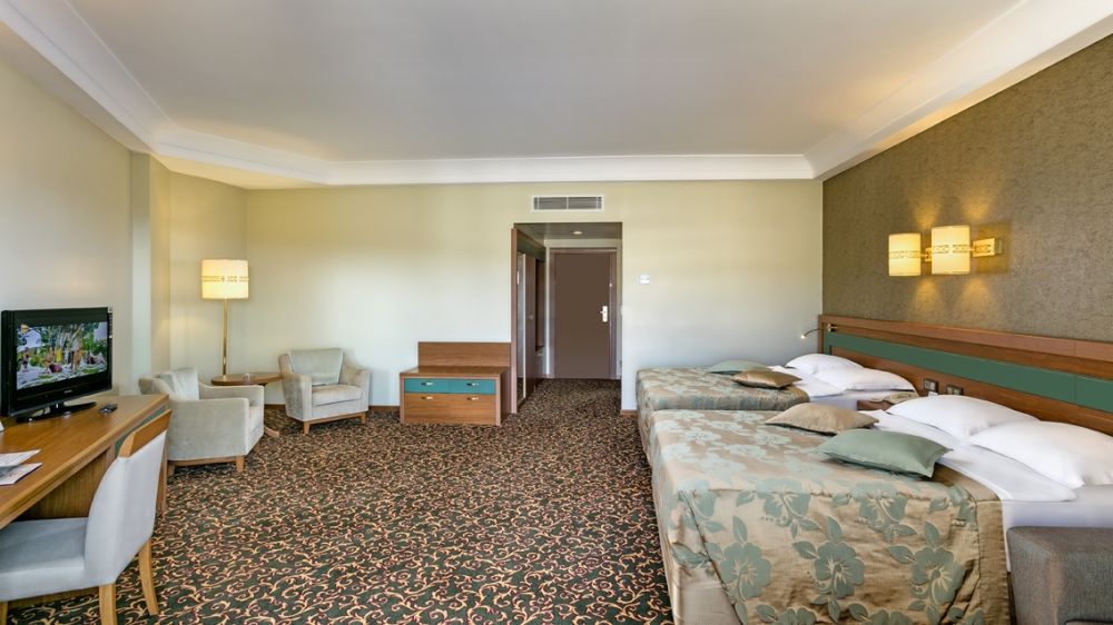 Standard Large Room, Ozkaymak Select Resort 5*