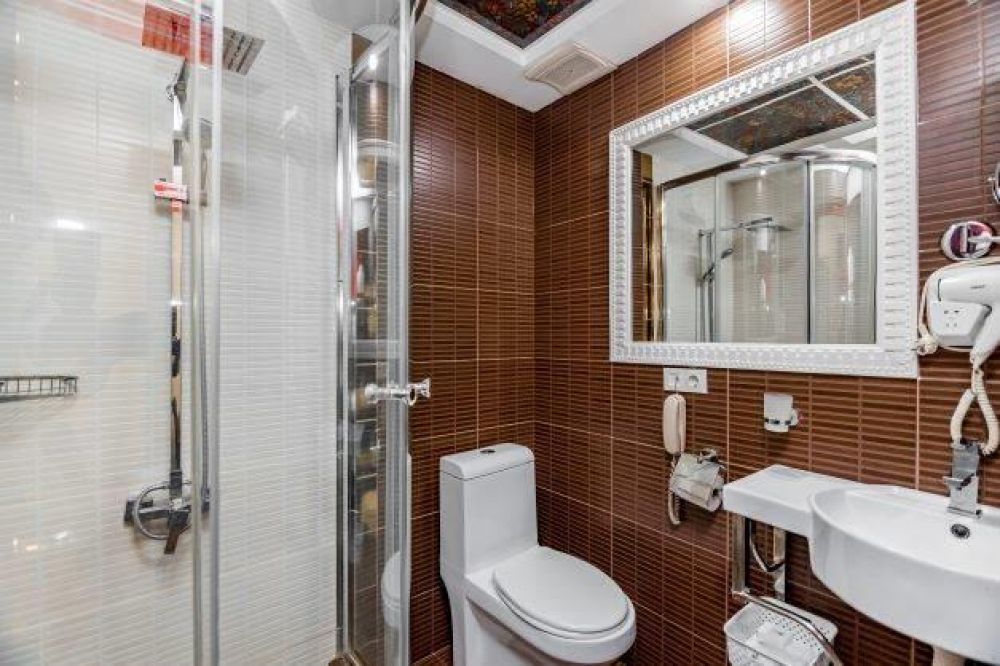 Standard Upgrade, Borjomi Palace 4*