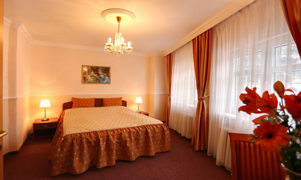 Apartment, Purkyne 3*