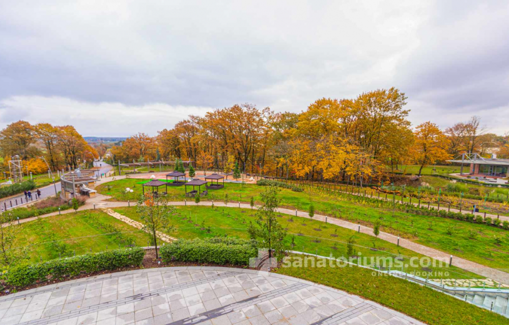 Superior without balcony, Lankaran Springs Wellness Resort | Санаторий 