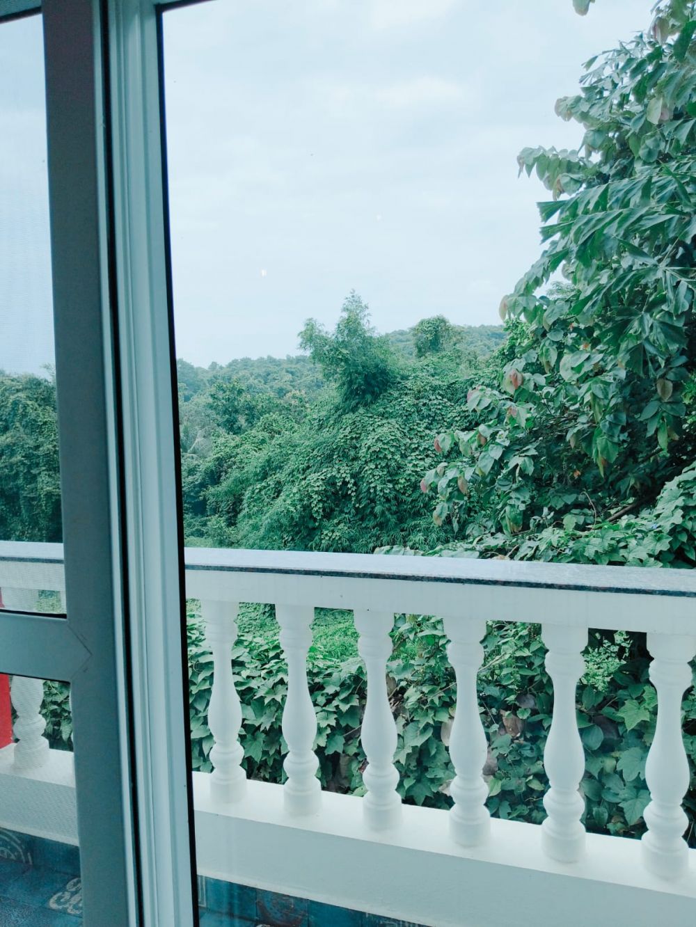 Deluxe AC, Sea Horizon Villas 3*