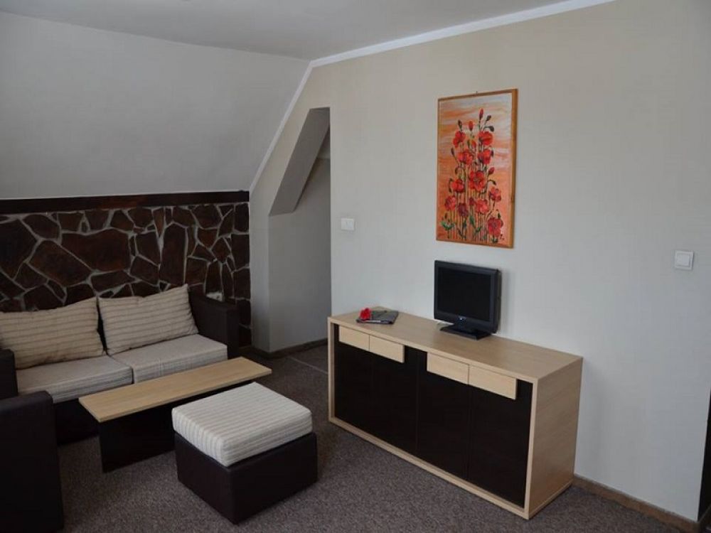 1 bedroom Apartment, Olymp Bansko 3*