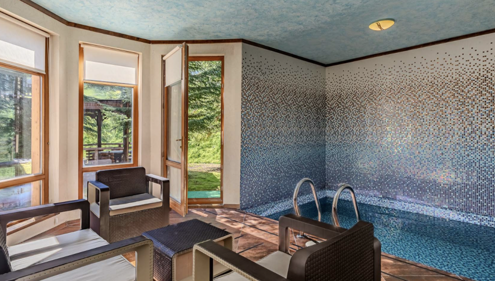 Шале Премьер, Буковель 3*