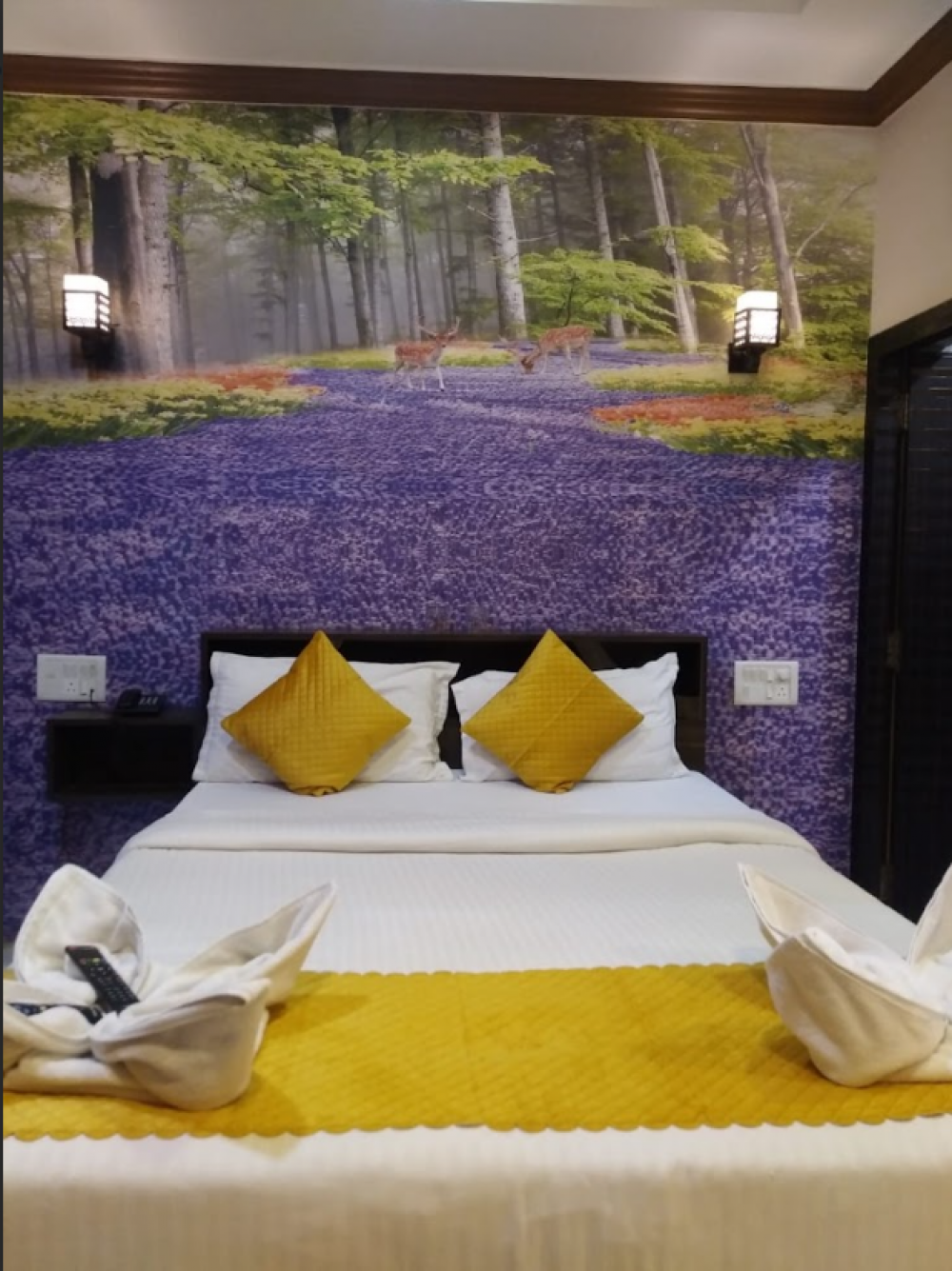 Deluxe AC, Baga Highq 3*