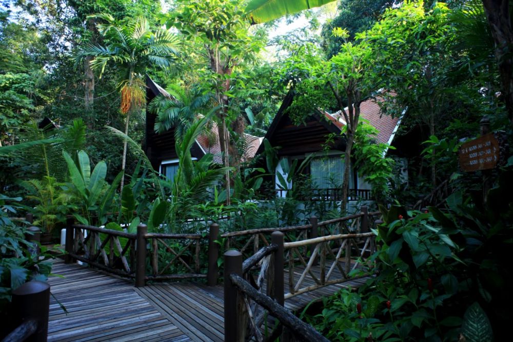 Jungle View Room, Marina Phuket Resort 4*