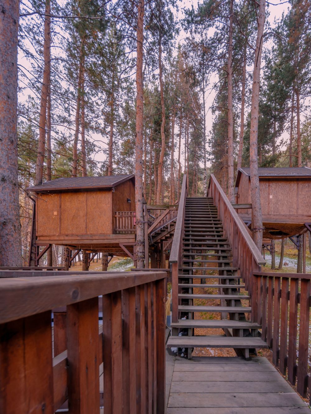 Домик на деревьях 