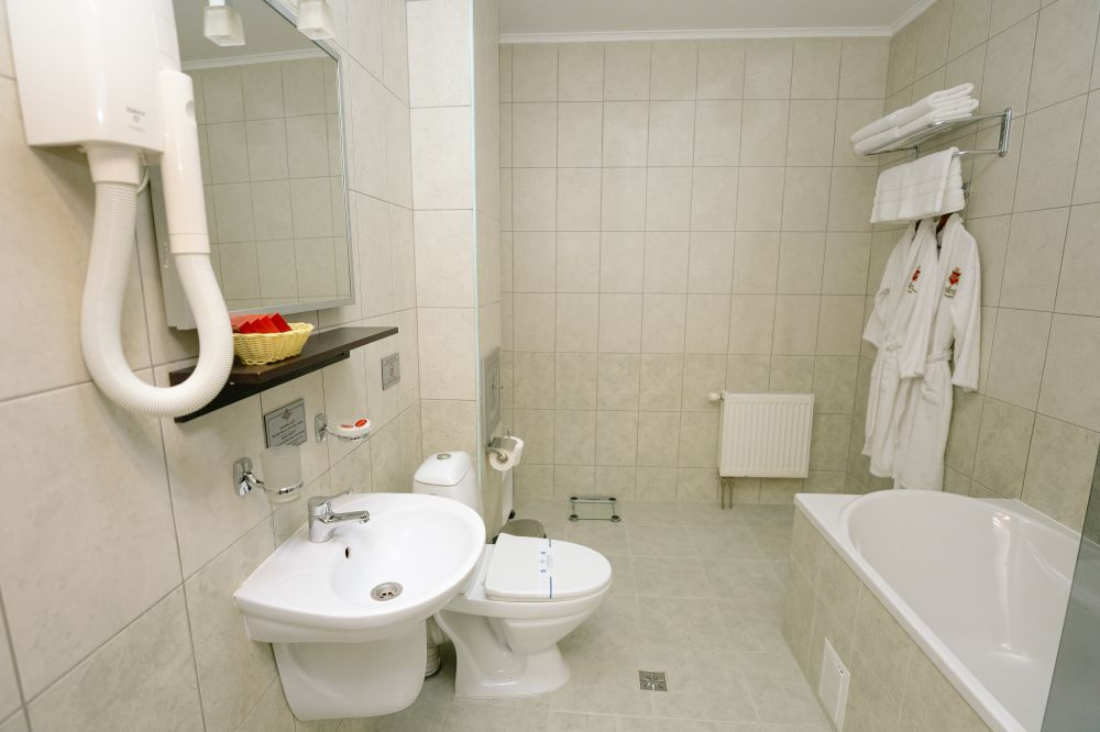 Полулюкс Premium улучшенный, Kyivska Russ Resort Medical & Spa 4*