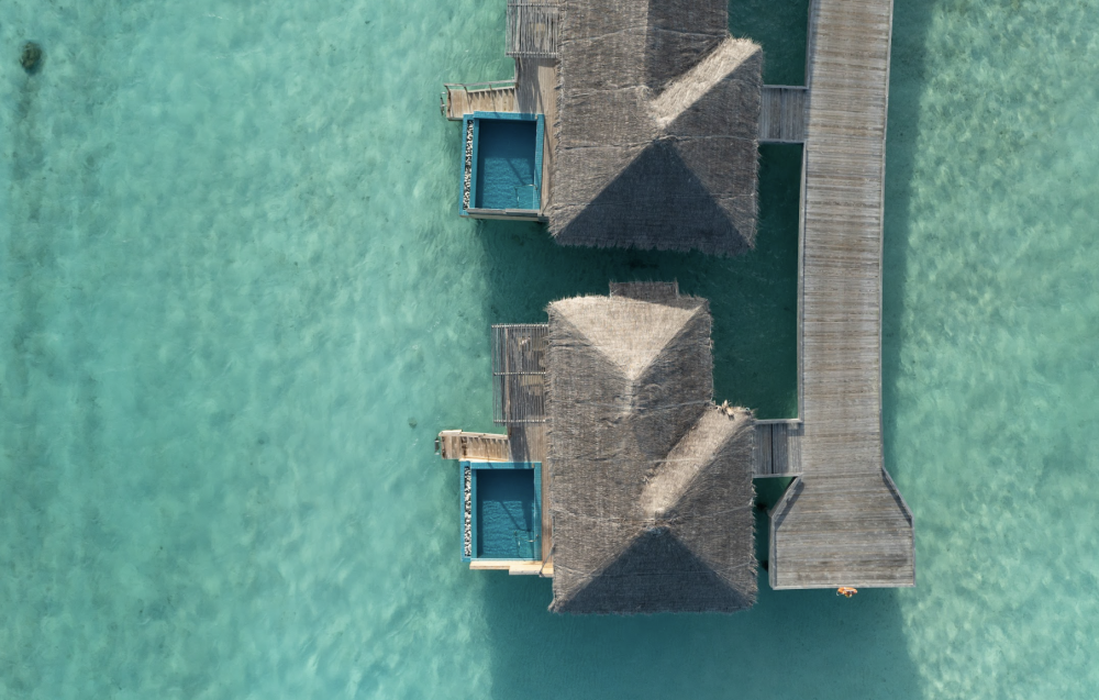 Dolphin Villa Pool, You & Me by Cocoon Maldives | Adults Only 16+ 5*