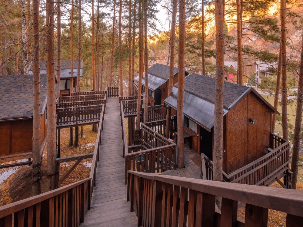 Домик на деревьях 