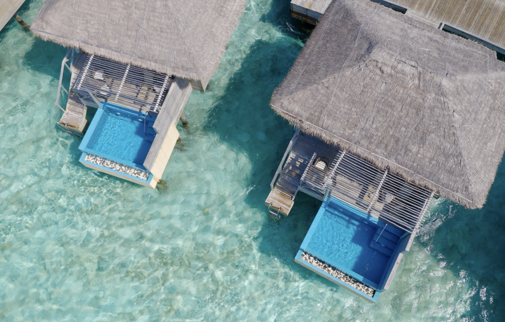 Dolphin Villa Pool, You & Me by Cocoon Maldives | Adults Only 16+ 5*