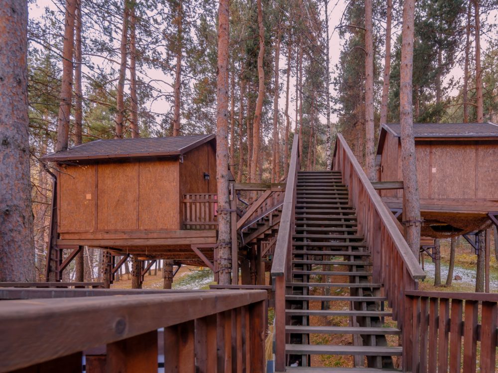 Домик на деревьях 