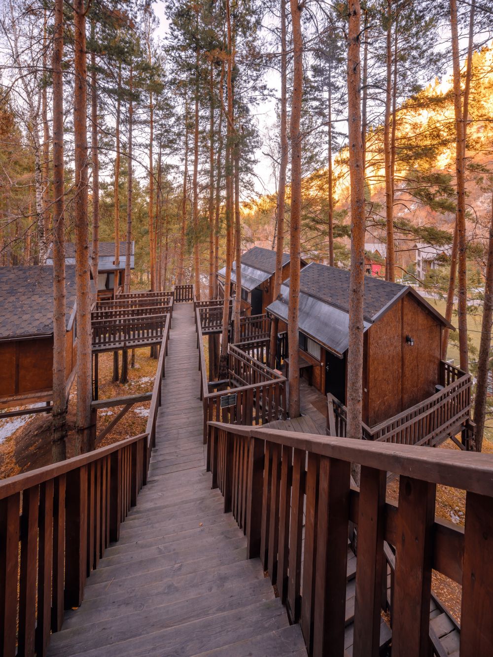 Домик на деревьях 