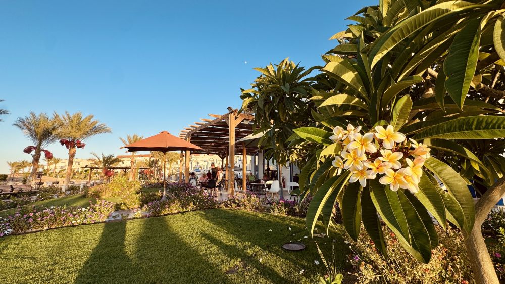 Coral Sun Beach Safaga 4*