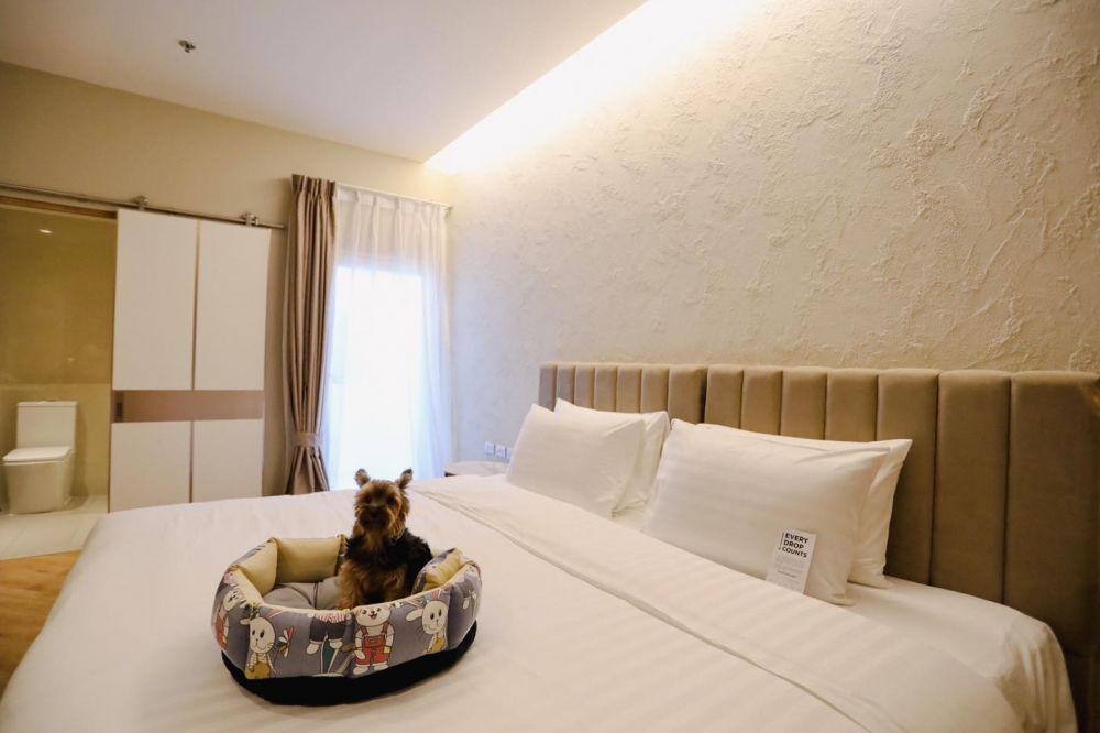 Pet Friendly Room, Away Bangkok Riverside Kene 4*